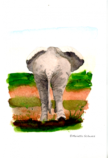 Afrikanischer-Elefant-von-hinten_web