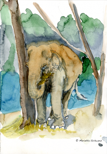 Elefantin Mae Doulu geniesst ihr Futter