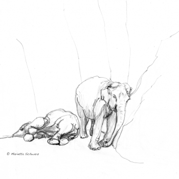 Elefantin Tong Koon müde, Kölner Zoo 2011