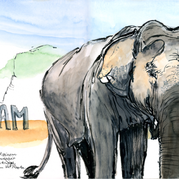 Bull elephant Niam from Ban Kiat Ngong